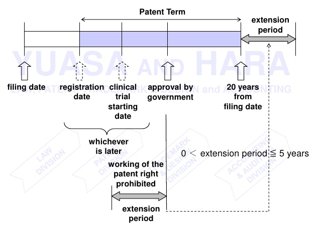  Extension de la durée du brevet et calendrier 