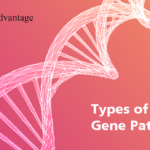 Gene Patents legaladvantage